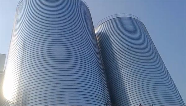 斗门2座混凝土高架卷板仓